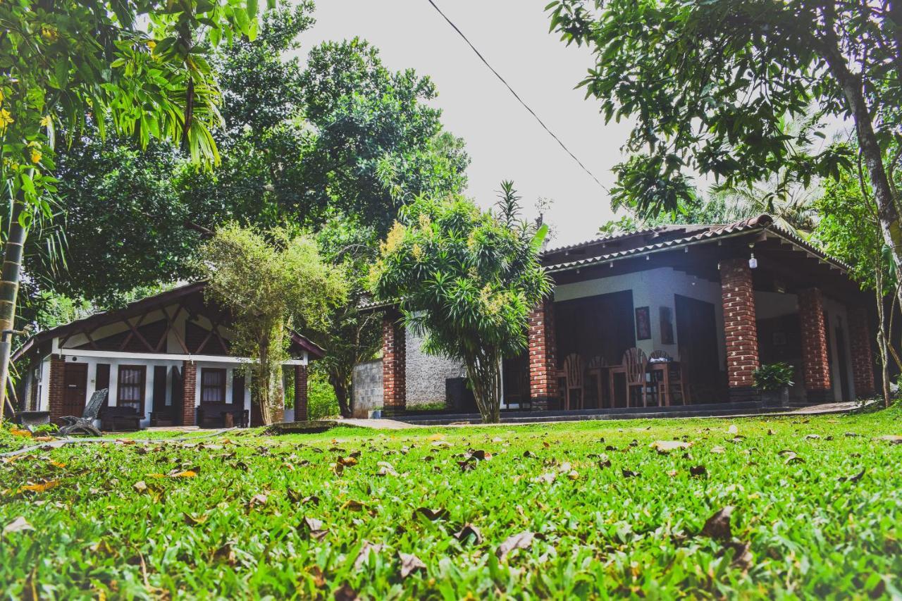 Green Cottage Anuradhapura Dış mekan fotoğraf
