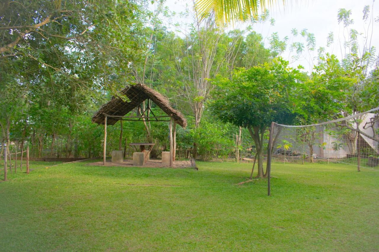Green Cottage Anuradhapura Dış mekan fotoğraf