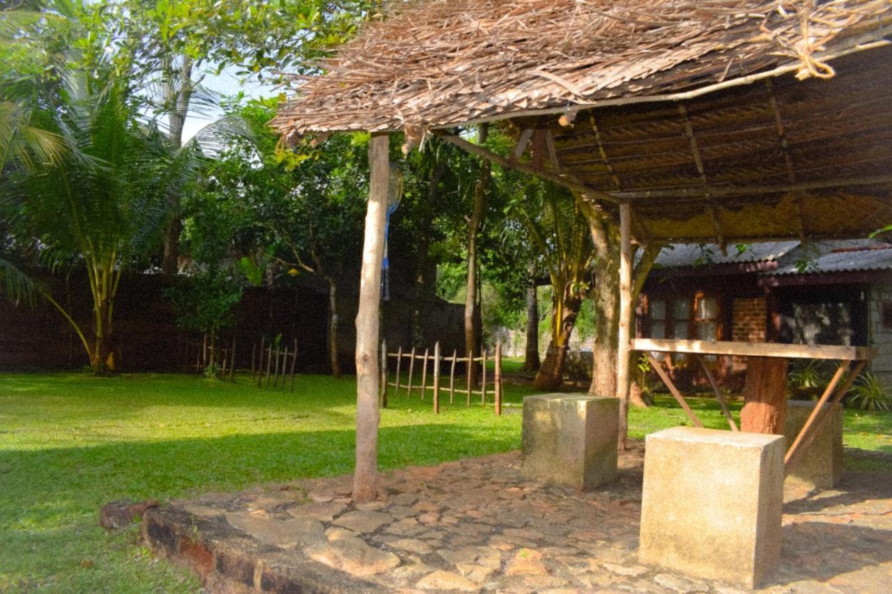 Green Cottage Anuradhapura Dış mekan fotoğraf