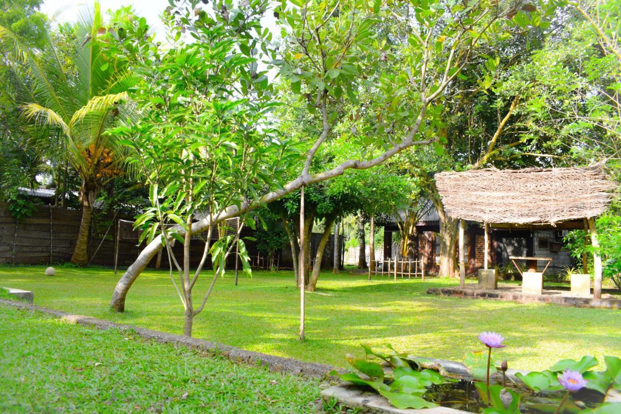 Green Cottage Anuradhapura Dış mekan fotoğraf
